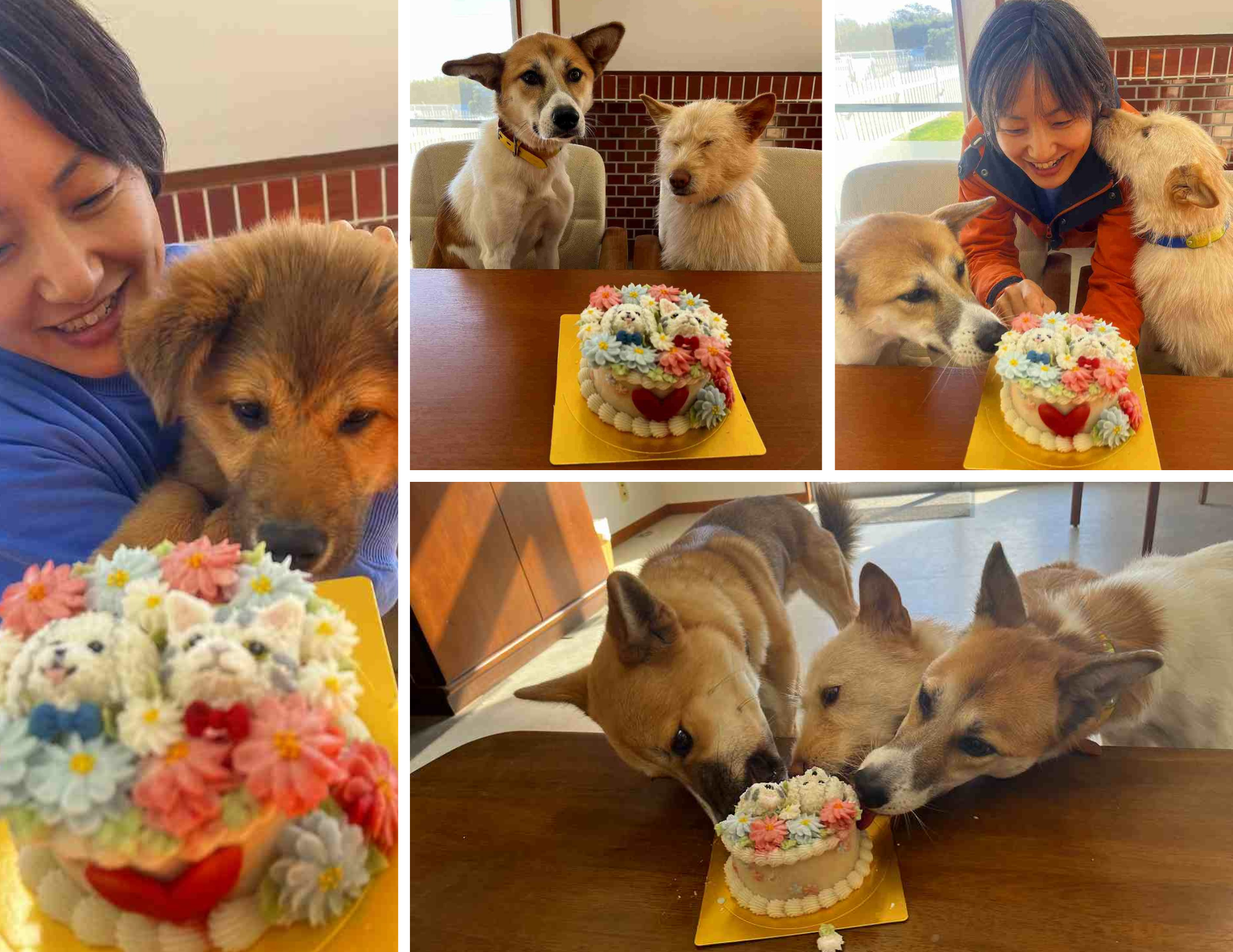 公益財団法人ヒューマニン財団 様