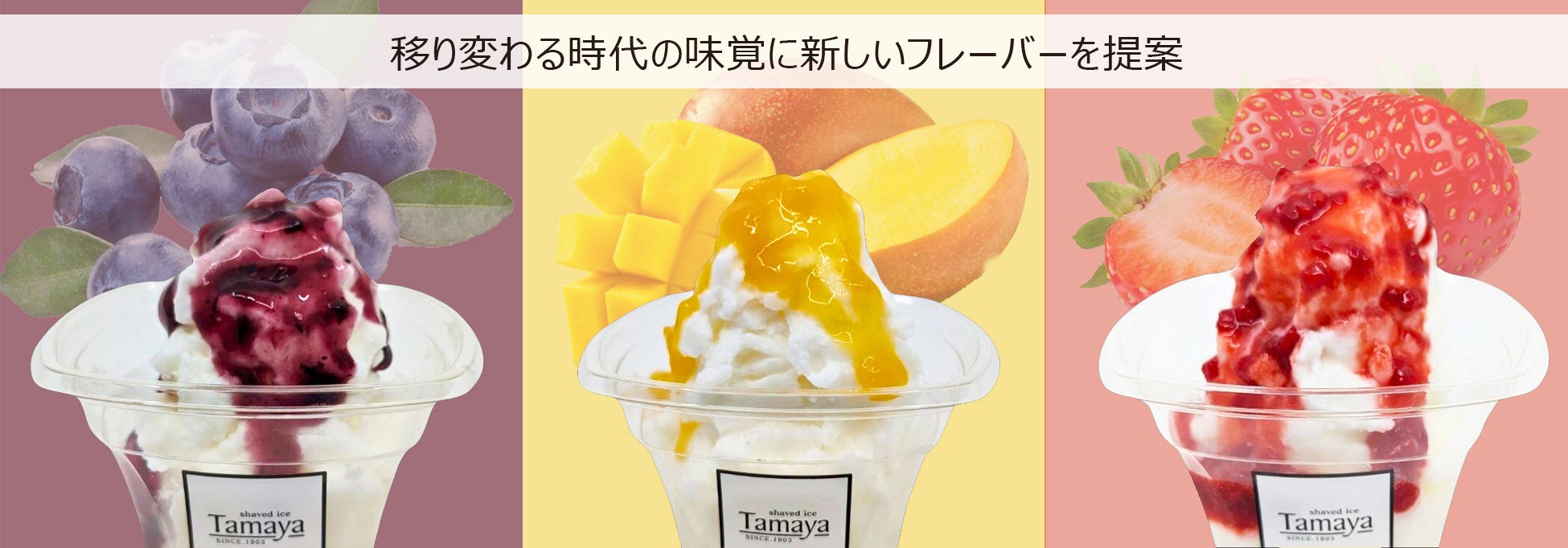 マスカルポーネ（ブルーベリー・マンゴー・いちご）