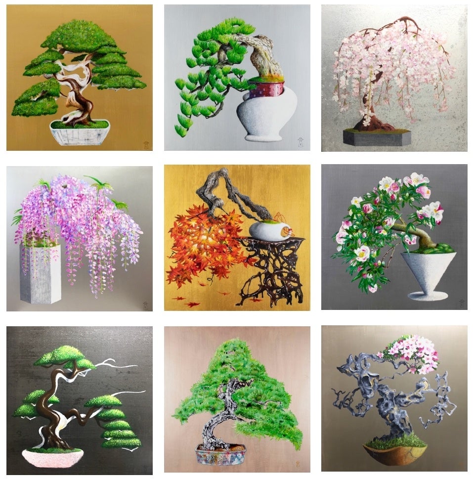 Kengo Bonsai Gallery