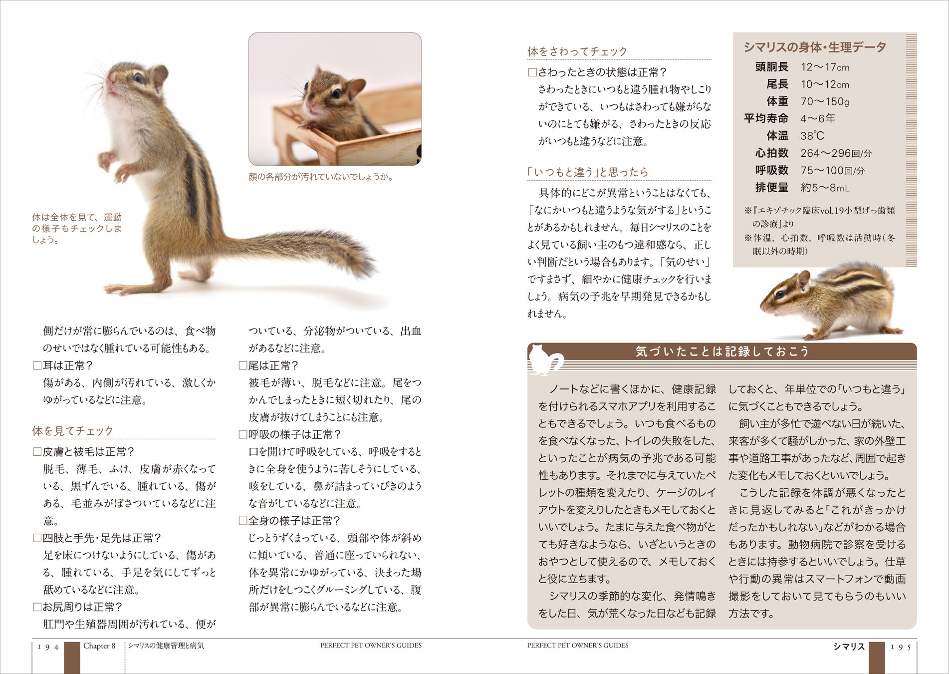 すばしこくて野性的 それでいて愛くるしいシマリスの飼育のすべて全てがわかるシマリス飼育書の決定版 株式会社誠文堂新光社のプレスリリース すばしこくて野性的 それでいて愛くるしいシマリスの飼育のすべて全てがわかるシマリス飼育書の決定版 株式会社誠文堂新光社のプレスリリース