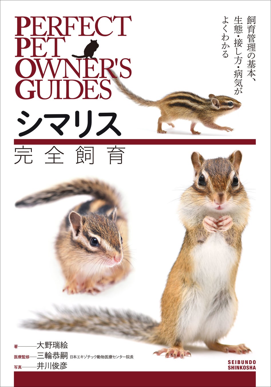 すばしこくて野性的 それでいて愛くるしいシマリスの飼育のすべて全てがわかるシマリス飼育書の決定版 株式会社誠文堂新光社のプレスリリース すばしこくて野性的 それでいて愛くるしいシマリスの飼育のすべて全てがわかるシマリス飼育書の決定版 株式会社誠文堂新光社のプレスリリース