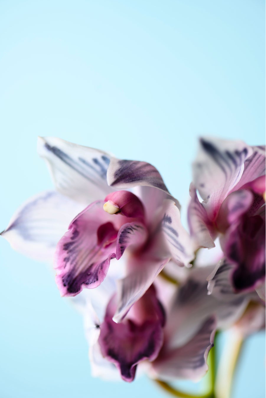 photo 三浦希衣子 design Takanashi design