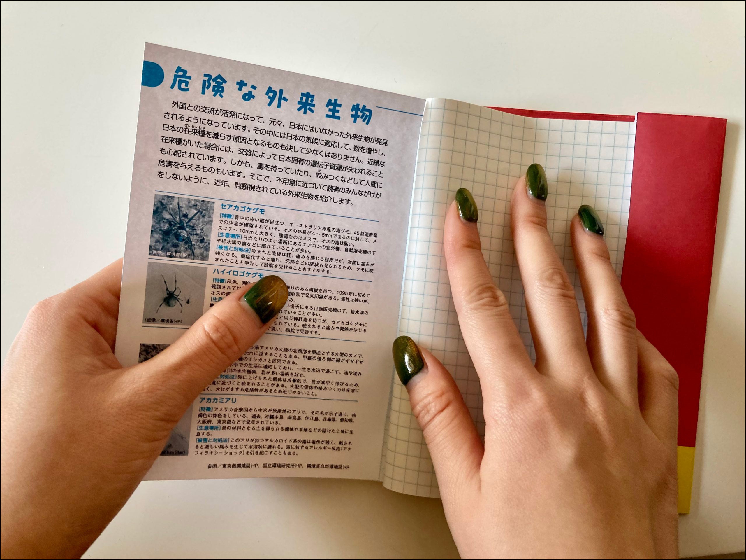 ダウンロードした「危険な外来生物」のデータをプリントして貼り付ける。 ​自分に必要な巻末データ集にカスタマイズ！