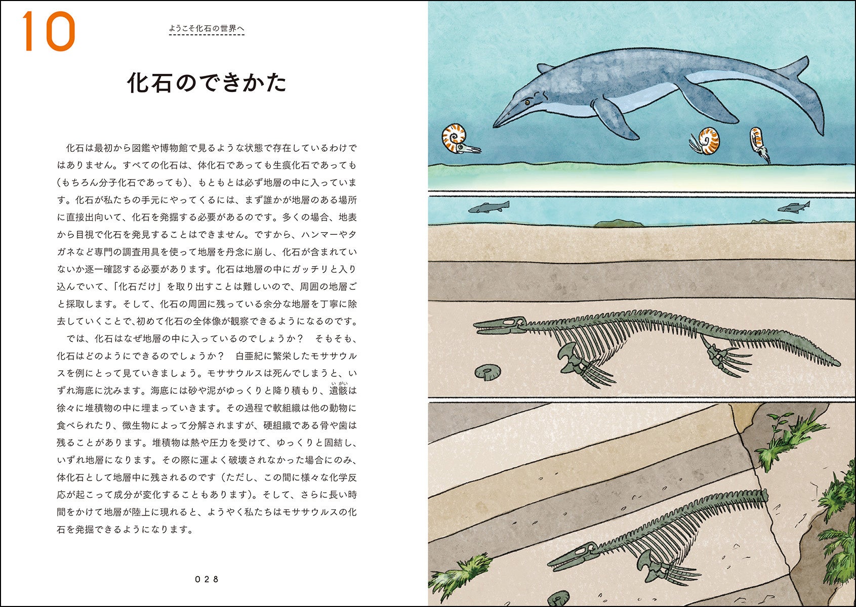 古生物学を学びたい方必見！】人気の「イラストでわかるきほん