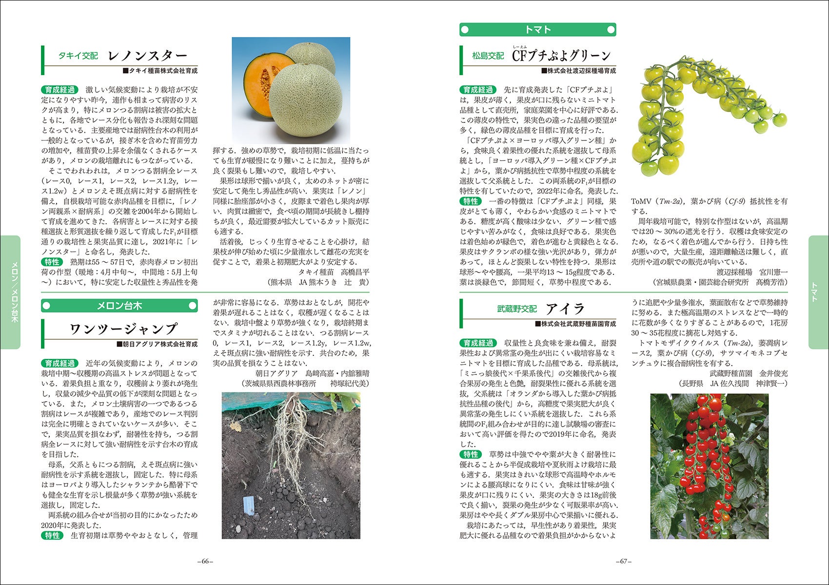 実践 野菜栽培 葉菜・茎菜・豆類 | 株式会社誠文堂新光社
