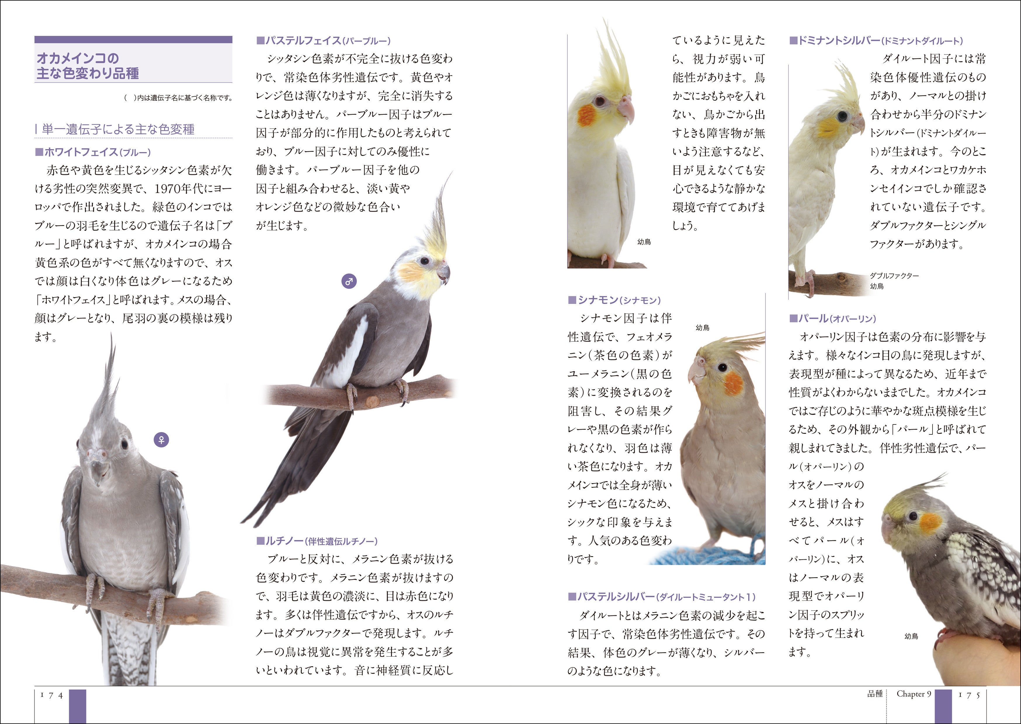 医療分野を大幅に増補・改訂したオカメインコの飼育書決定版！ | 株式