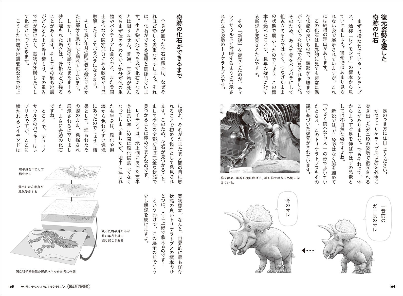 イラスト：川崎悟司