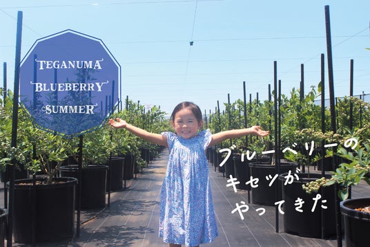 【柏市】\8月16日まで/手賀沼ブルーベリーサマー2026開催中 【柏市】\8月16日まで/手賀沼ブルーベリーサマー2026開催中