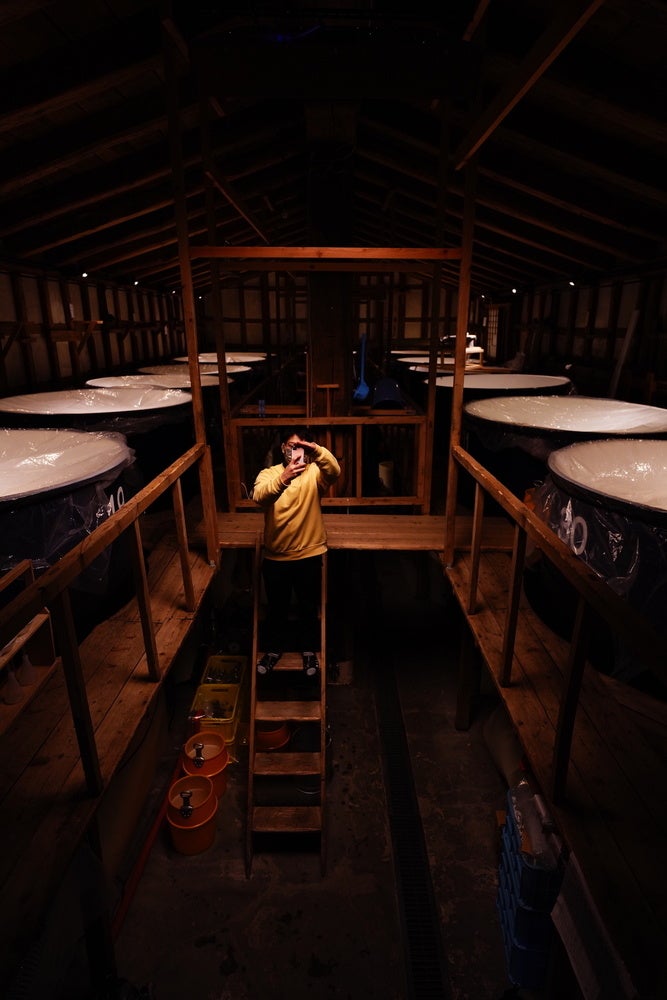 南部美人の酒蔵ライトアップの写真