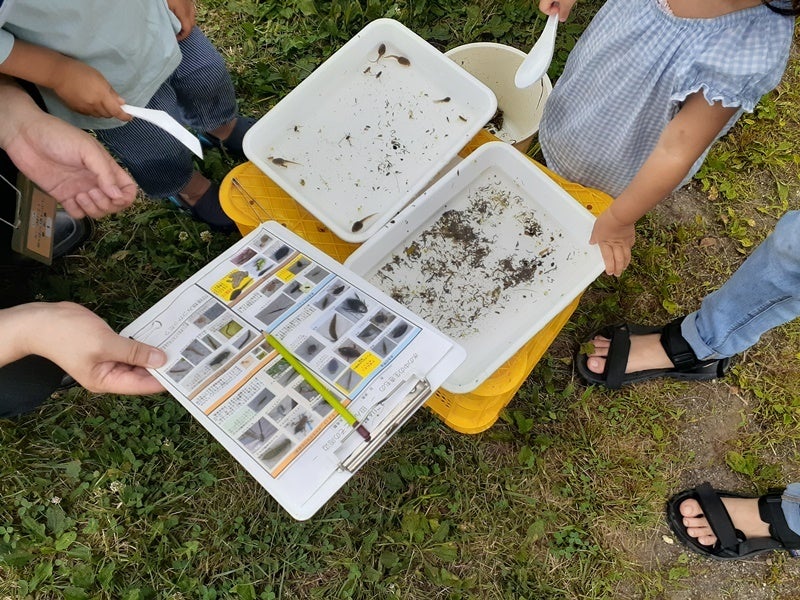 田んぼの生き物たち
