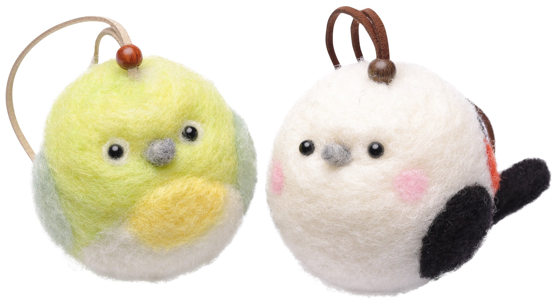 メジロ—&しまちゃん