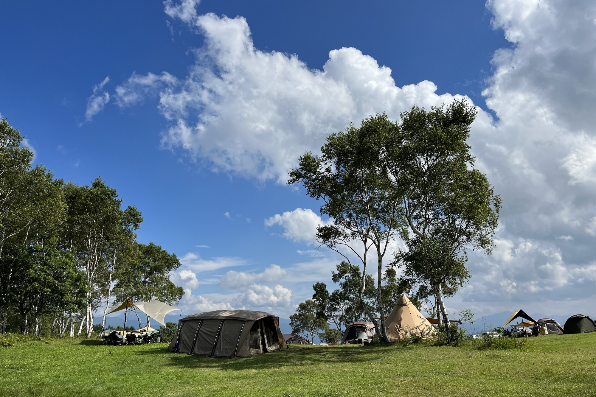 キャンプエリア