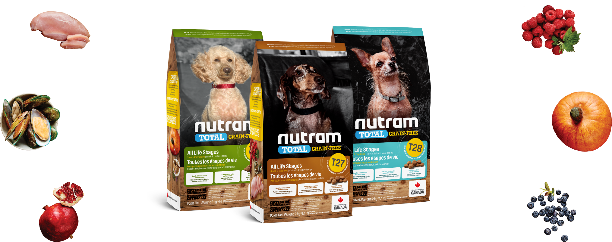 おでかけに便利な個包装タイプ】2024年5月31日（金）に