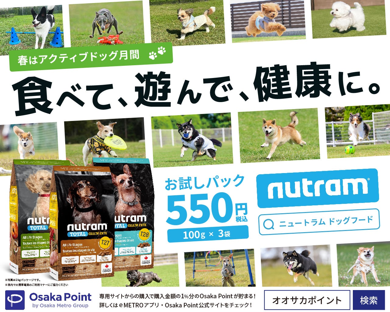 春はアクティブドッグ月間！ドッグフード「ニュートラム」が健康