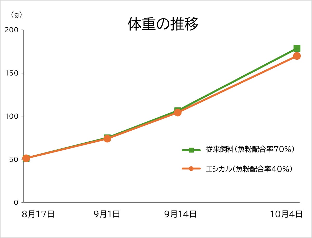 魚粉を使わないウナギ用飼料「神威ZERO」をフィード・ワンが開発、2026年内の発売を予定