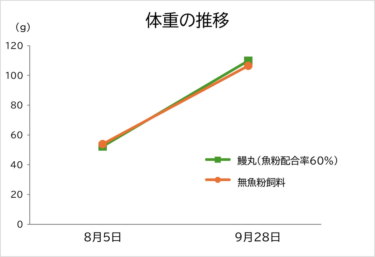 魚粉を使わないウナギ用飼料「神威ZERO」をフィード・ワンが開発、2026年内の発売を予定