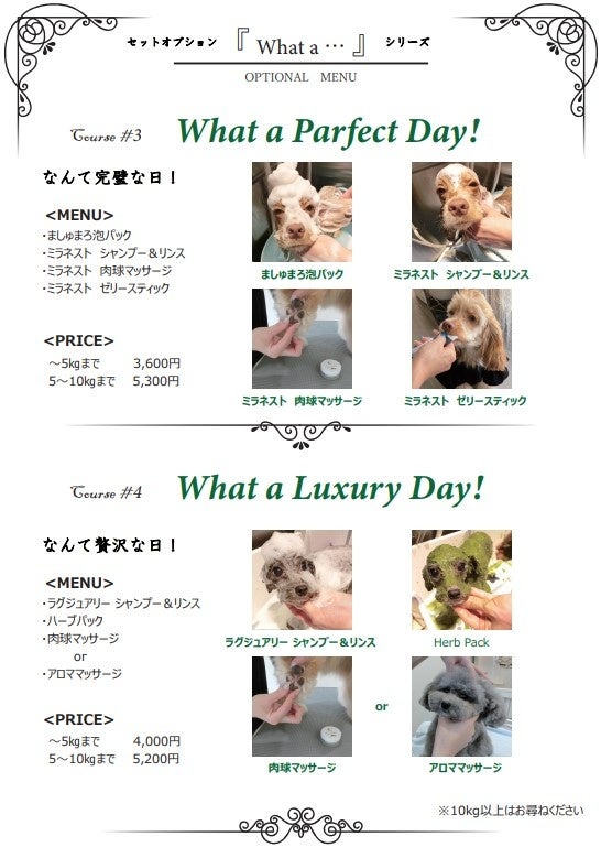 コース３＆４ メニュー内容