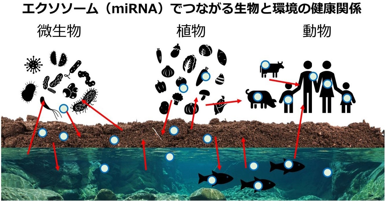 121492-10-b4452aeed73e8f4e1bc303f7daf02786-1334x695.jpg?width=1950&height=1350&quality=85%2C65&format=jpeg&auto=webp&fit=bounds&bg-color=fff