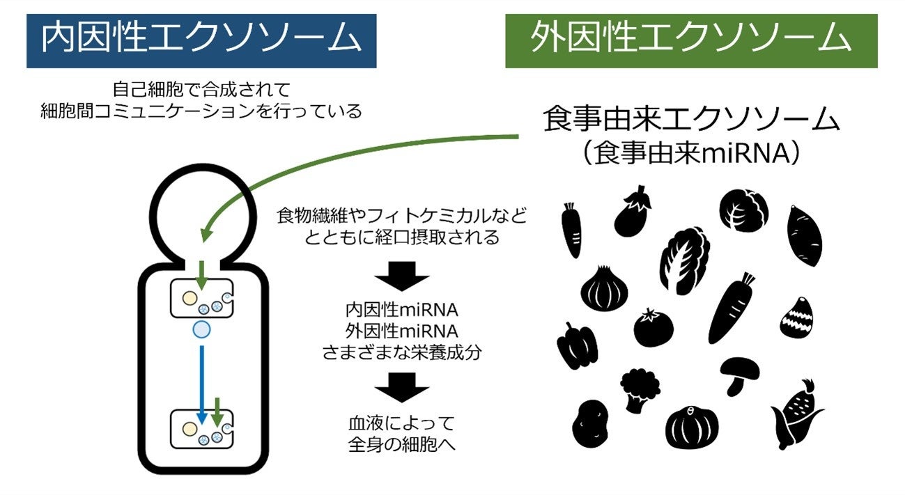 121492-10-baa67aa042441ce740831b27eae43a36-1299x711.jpg?width=1950&height=1350&quality=85%2C75&format=jpeg&auto=webp&fit=bounds&bg-color=fff