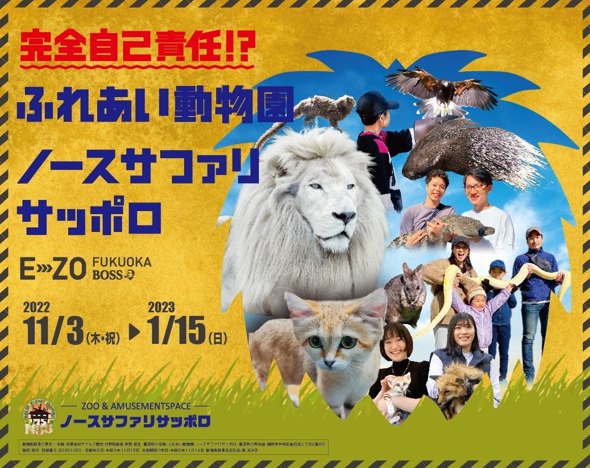 ホワイトライオン との ゼロ距離 でドキドキハラハラ 完全自己責任 ふれあい動物園ノースサファリサッポロ を11月3日から開催 福岡ソフトバンクホークス株式会社のプレスリリース ホワイトライオン との ゼロ距離 でドキドキハラハラ 完全自己責任 ふれあい動物園ノースサファリサッポロ を11月3日から開催 福岡ソフトバンクホークス株式会社のプレスリリース