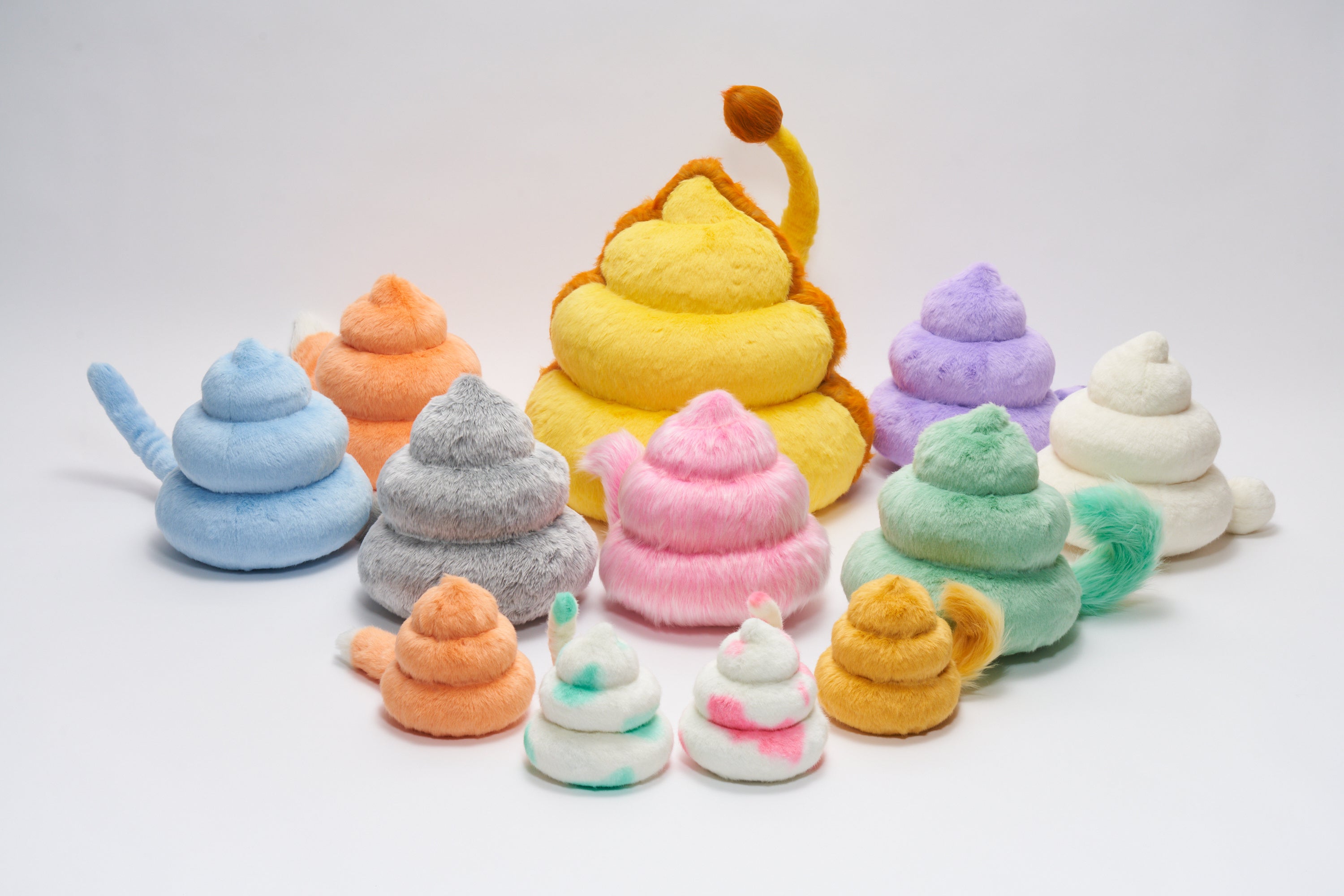 カラフルで個性的な12種類の中から 4種類が福岡にやってくる！