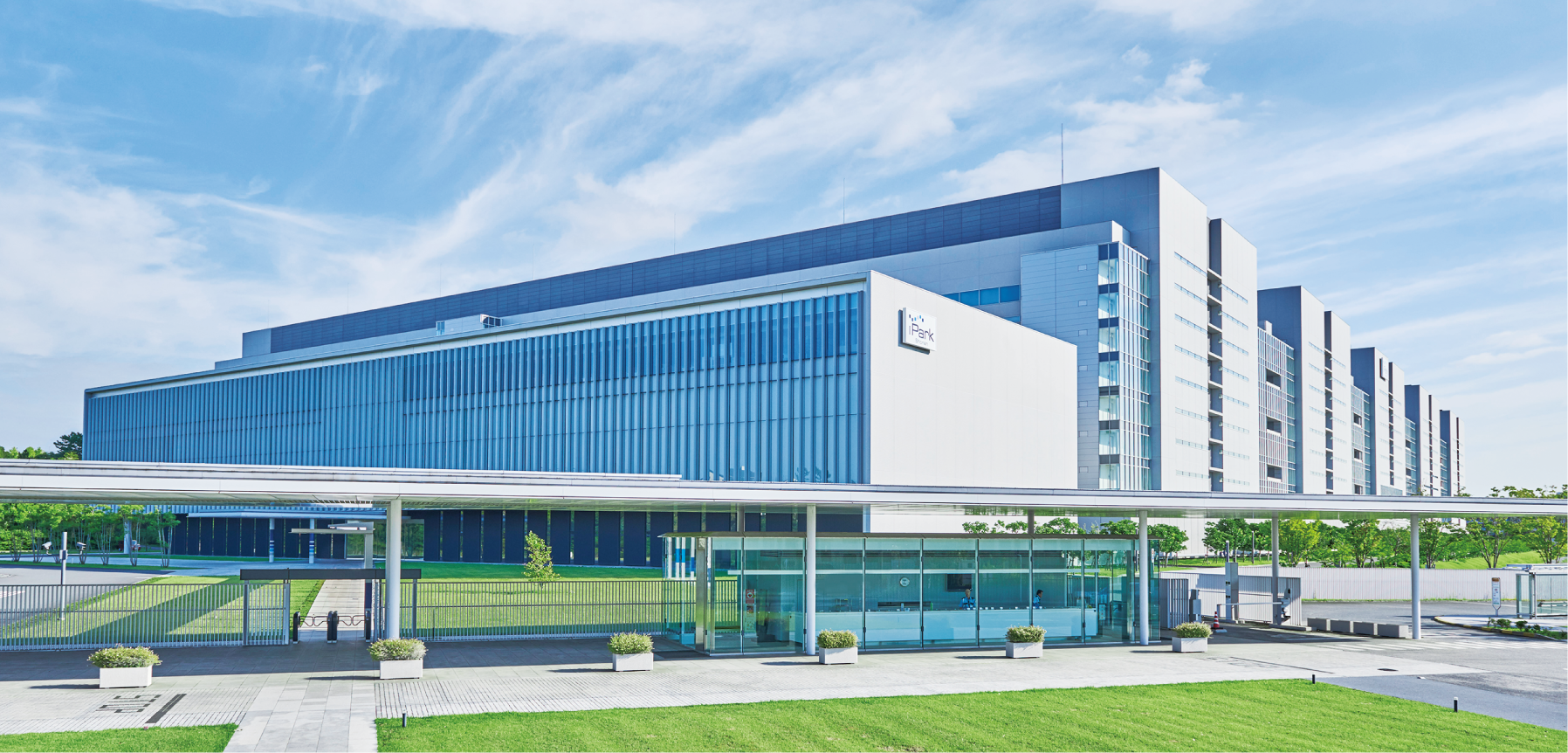 セルプロジャパン株式会社の幹細胞研究から誕生したヒト羊膜由来幹細胞