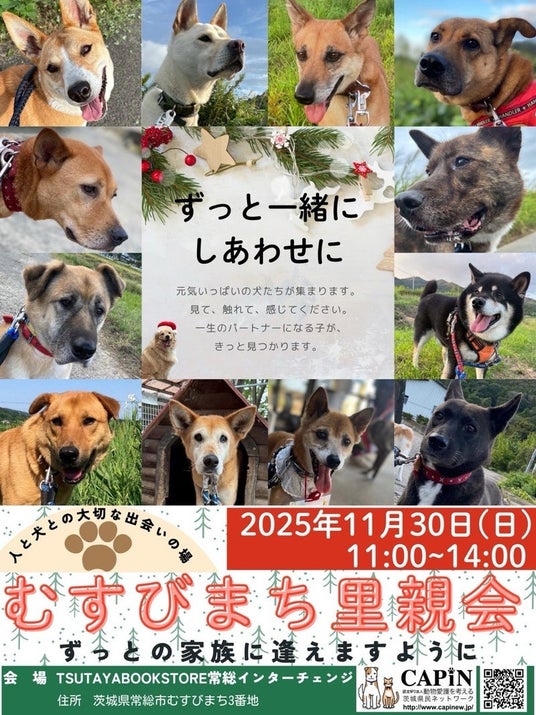 11月30日(日)「むすびまち里親会」開催! 11月30日(日)「むすびまち里親会」開催!