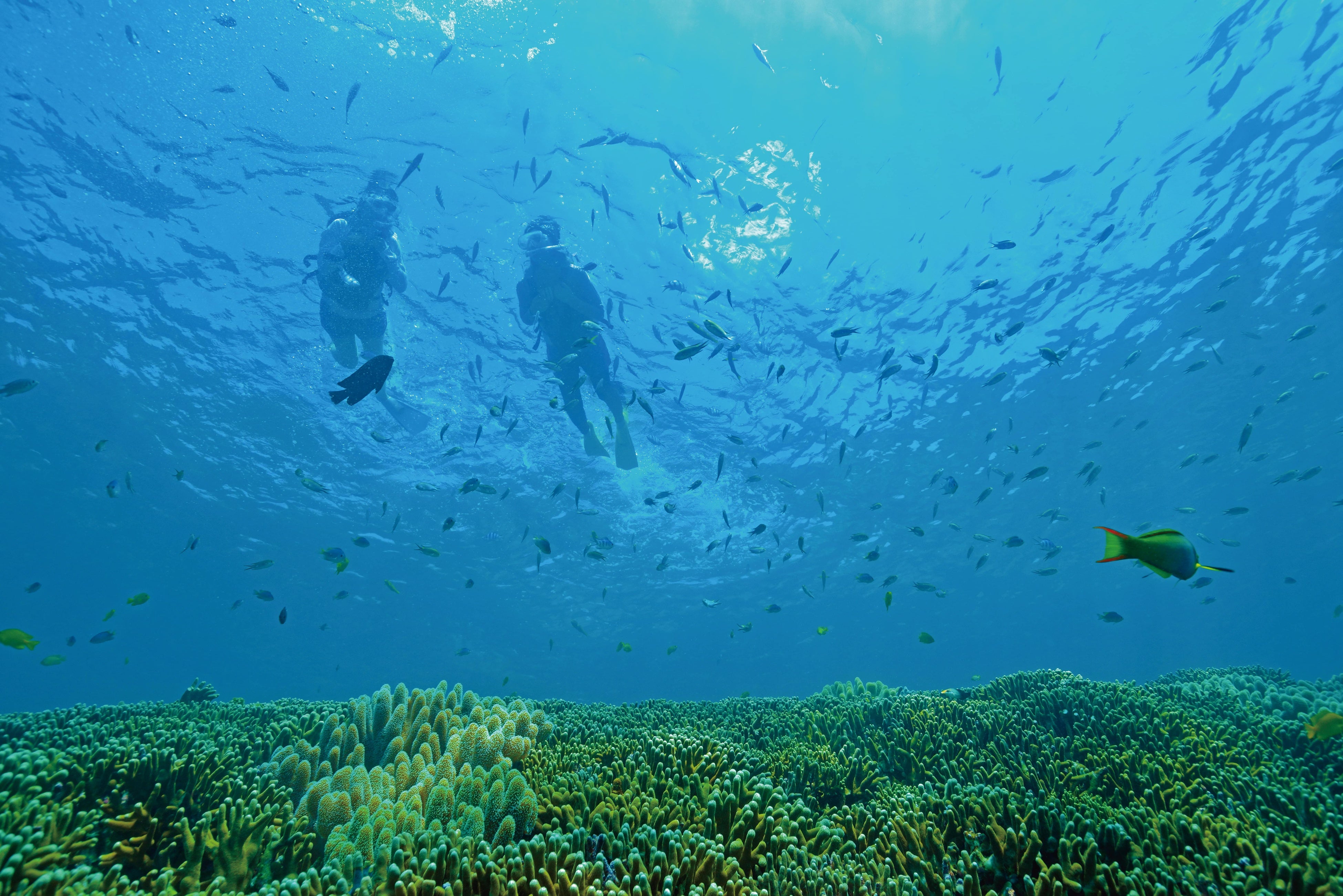 アクティビティ優待