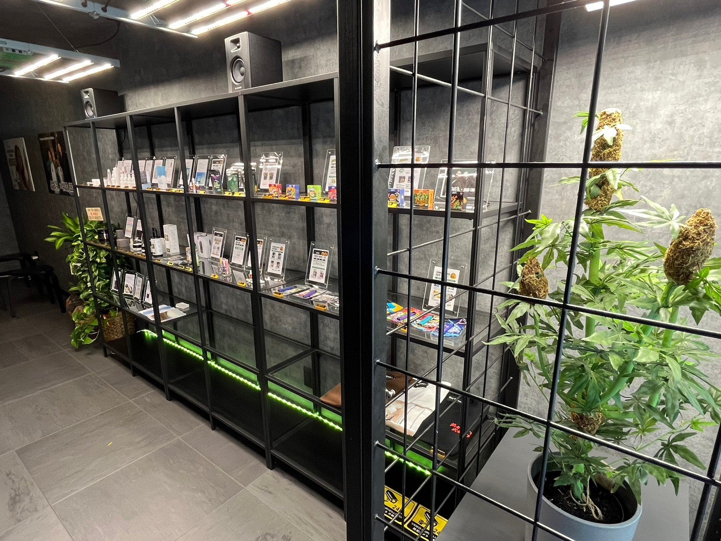 地域一番の商品量でみなさまのご来店をお待ちしております