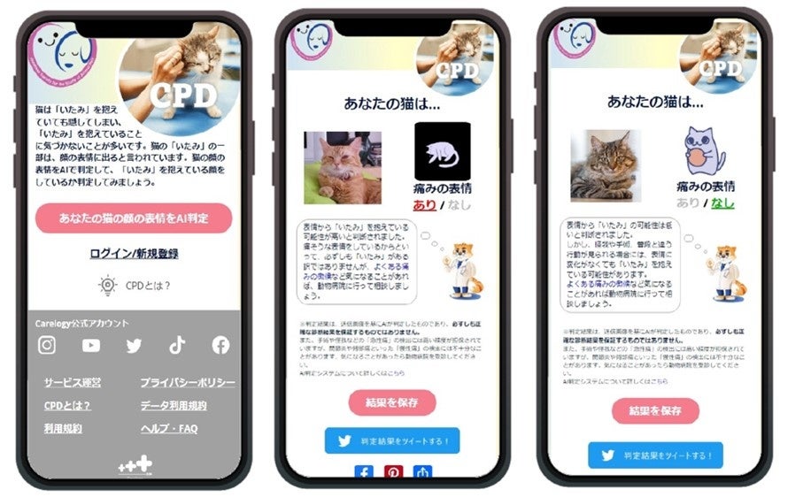 猫の痛みをAIが検出！90%以上の精度で表情判別、無料で利用可能