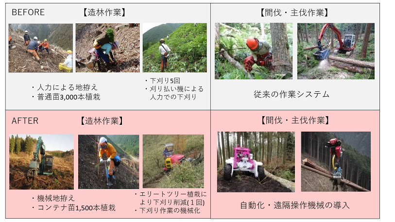 林野庁ホームページより