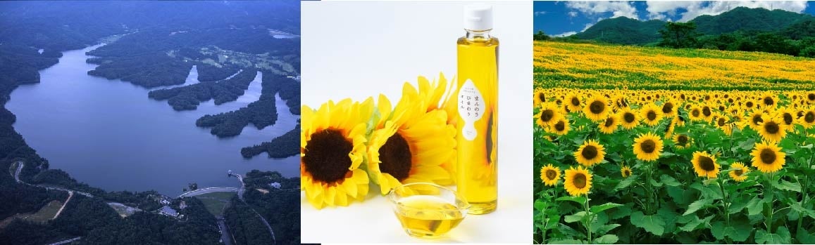 （左から）満濃池、ひまわりオイル、ひまわり