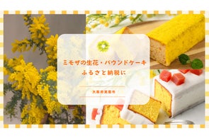 贈り物にミモザを。黄色が映えるミモザモチーフのパウンドケーキ、生花がふるさと納税限定で登場、大阪府箕面市