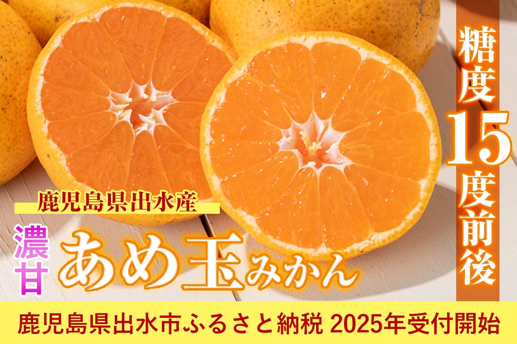 糖度15度前後！全国ミカン選手権で3年連続の入賞歴のある「濃甘あめ玉