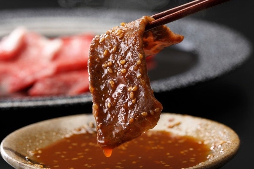 人気焼肉店のレシピ集 楽天市場】焼肉店 第28集／レシピ【1000円以上送料無料