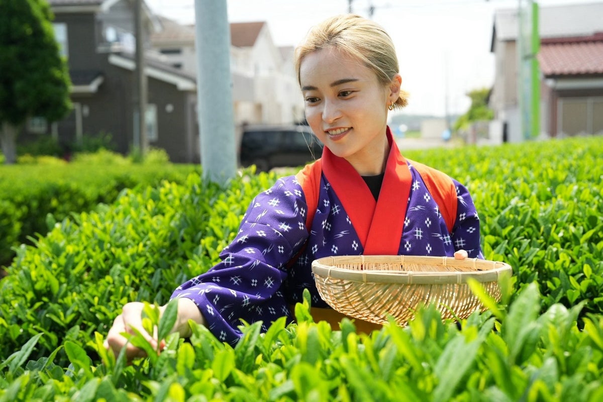 「日本の乾杯はほうじ茶で」 小島瑠璃子さんの「dipitea」と一石三鳥がほうじ茶スパークリング「燈 -とう-」を発売