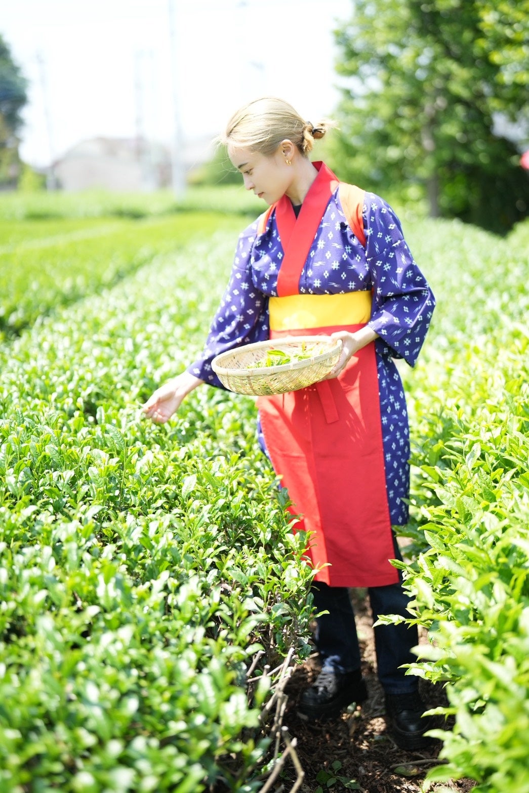 「日本の乾杯はほうじ茶で」 小島瑠璃子さんの「dipitea」と一石三鳥がほうじ茶スパークリング「燈 -とう-」を発売