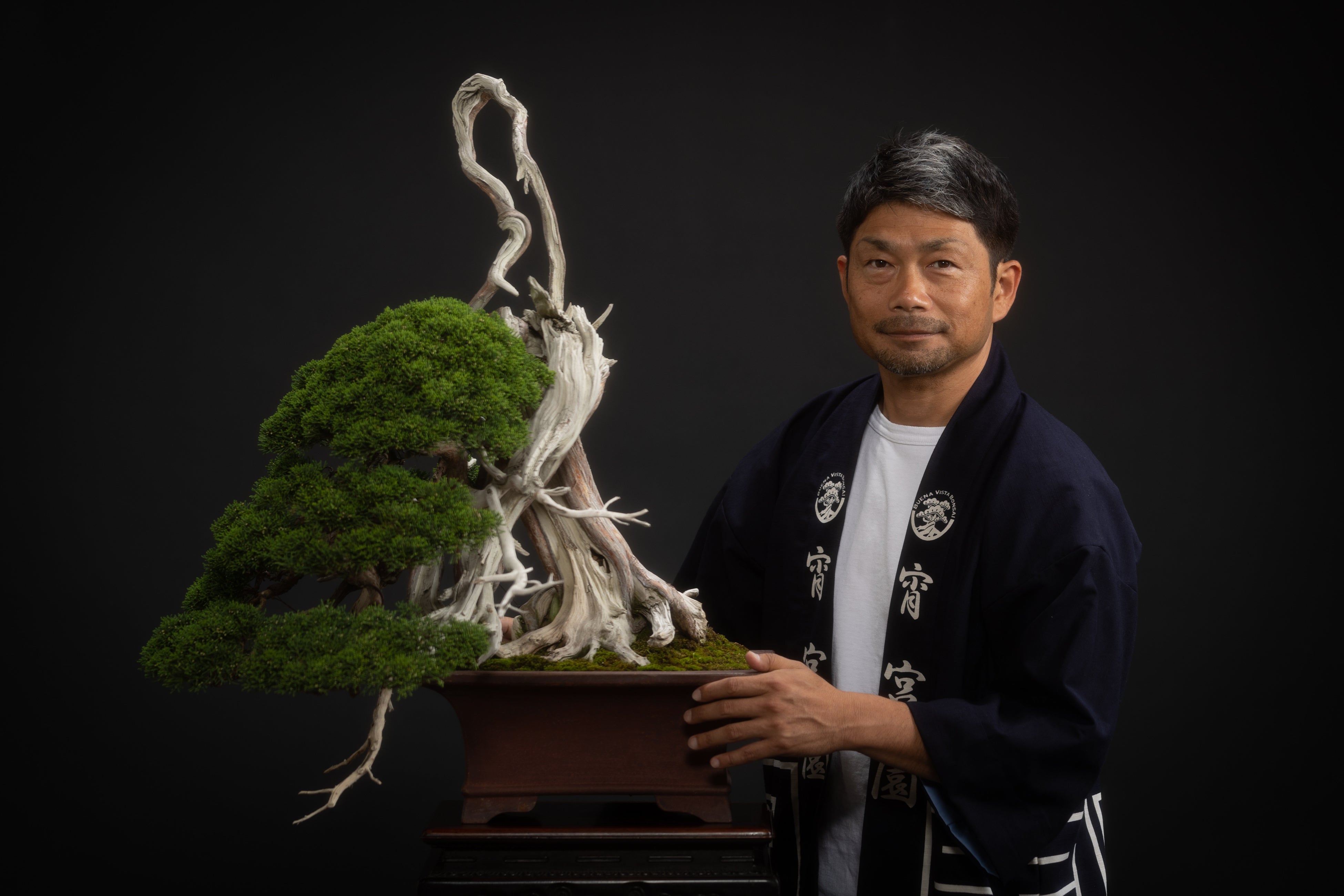 盆栽　ひな壇 鑑賞棚 BONSAI 第22回秋雅展席飾りの紹介 - 公益社団法人全日本小品盆栽協会