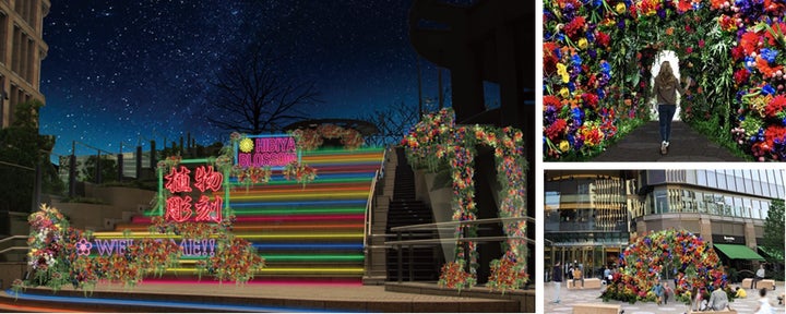 東京ミッドタウン日比谷で開催中の「HIBIYA BLOSSOM 2024」が注目!再生ペットボトルで作られたアーティフィシャルフラワーが魅力 東京ミッドタウン日比谷で開催中の「HIBIYA BLOSSOM 2024」が注目!再生ペットボトルで作られたアーティフィシャルフラワーが魅力