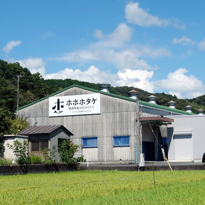 【中古】 静岡のきのこ/静岡新聞社/静岡木の子の会 静岡木の子の会/静岡木の子の会とは