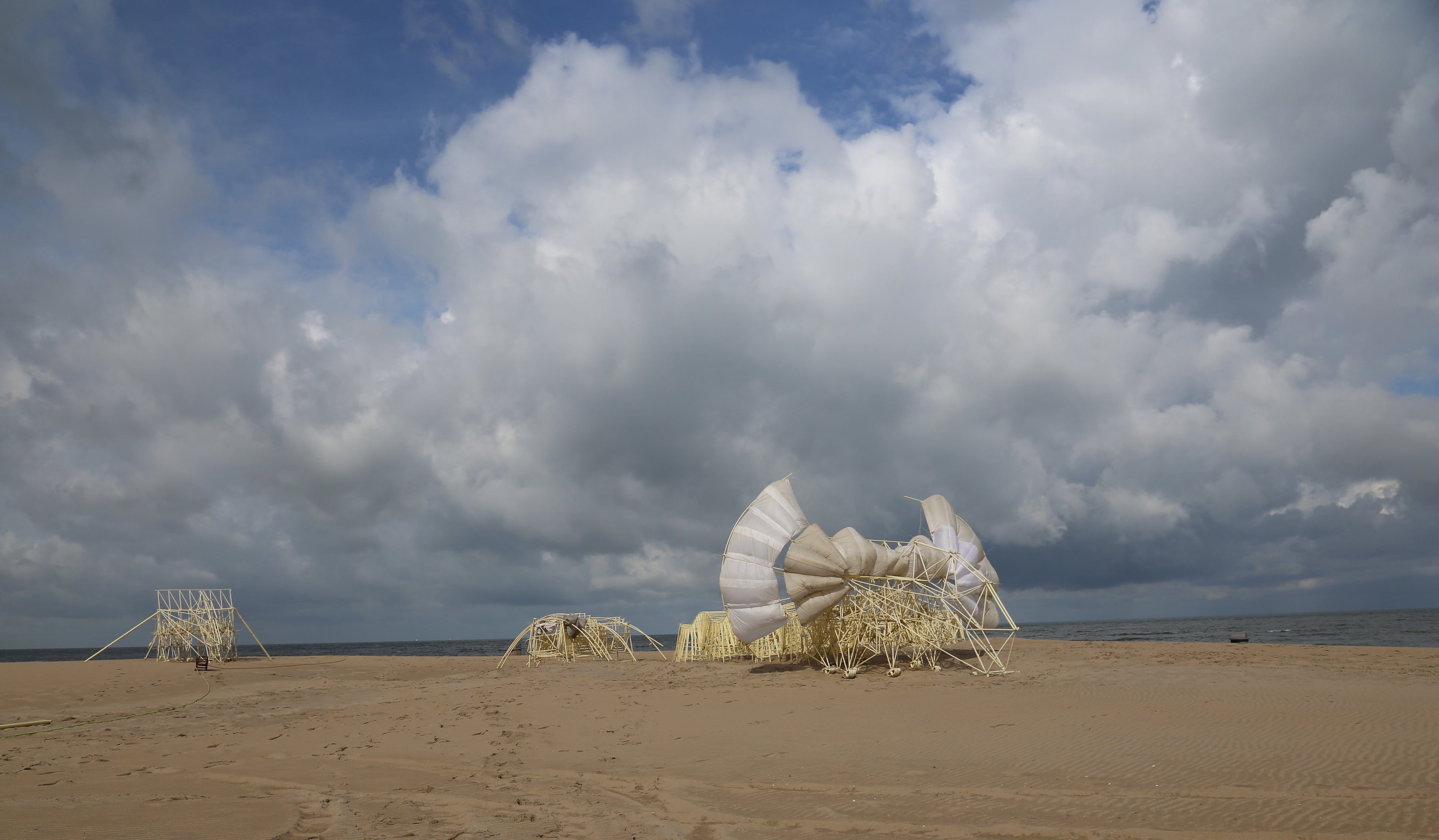 《アニマリス・ムルス》(c)Theo Jansen