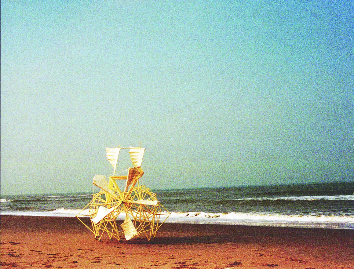 《アニマリス・リジデ・プロペランス》(c)Theo Jansen