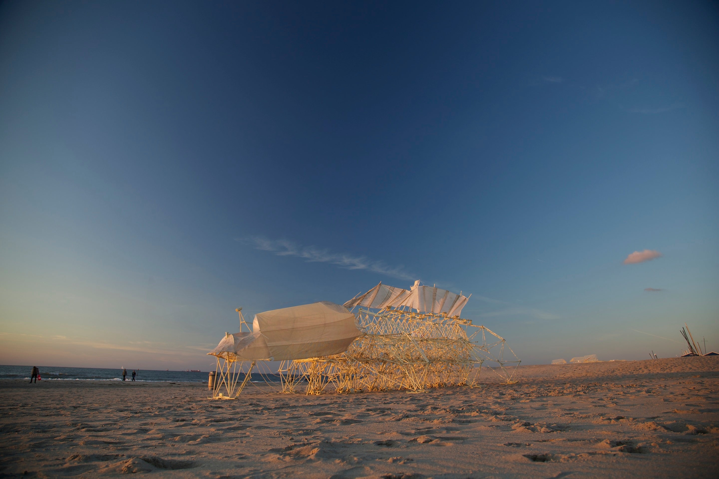 《アニマリス・オムニア・セグンダ》(c)Theo Jansen