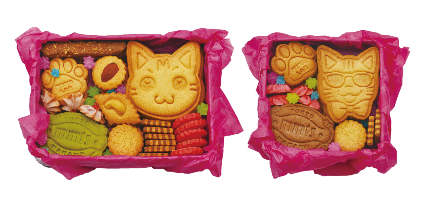 mmts (マミタス)』と『NEKO LAB (ネコラボ)』が初コラボ！ | 株式会社