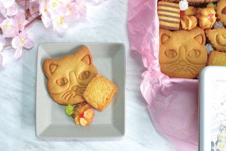 NEKO LAB×鶴屋百貨店コラボ！可愛い猫クッキー缶が登場！数量限定販売中