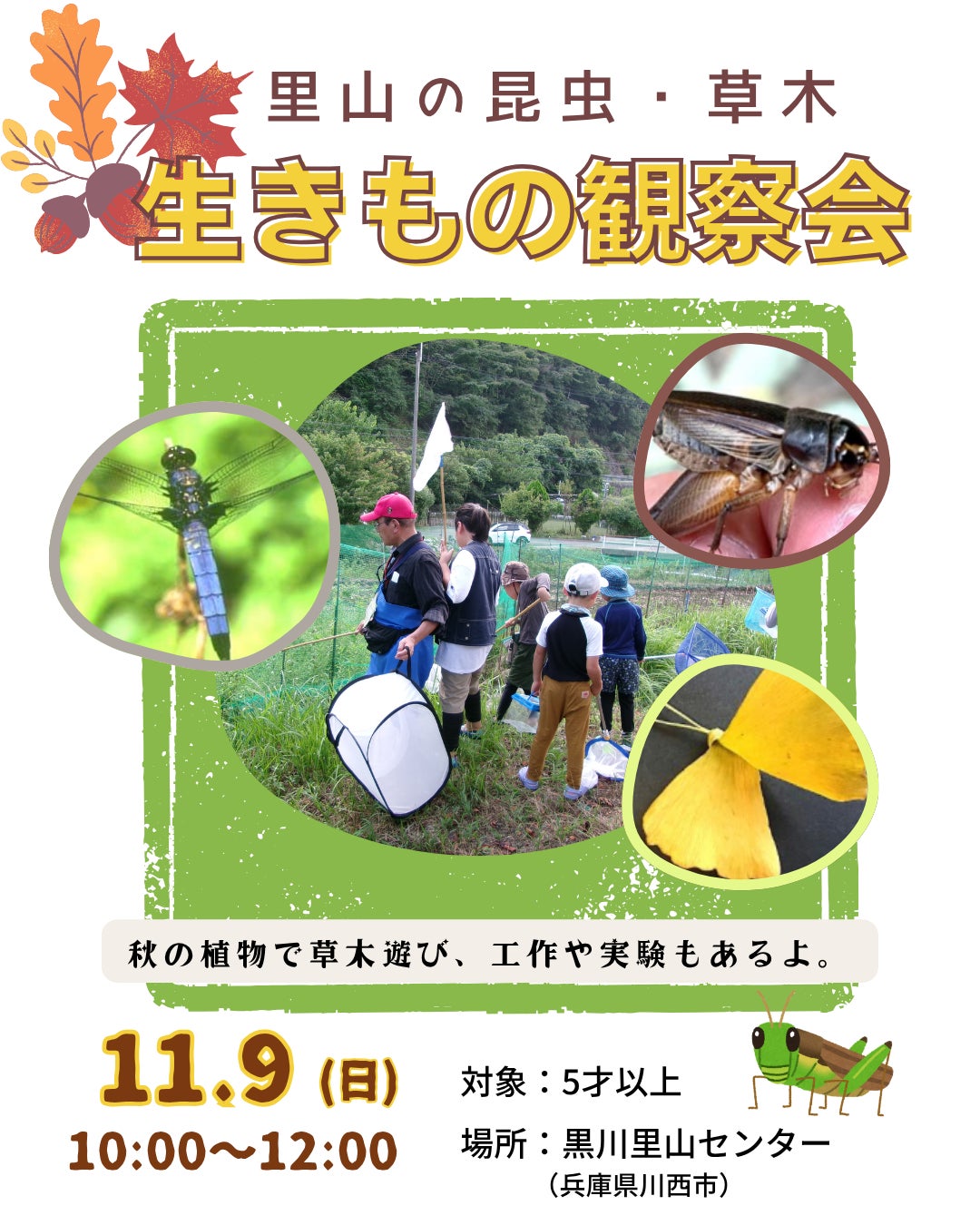 里山の生きもの観察会<兵庫県川西市>