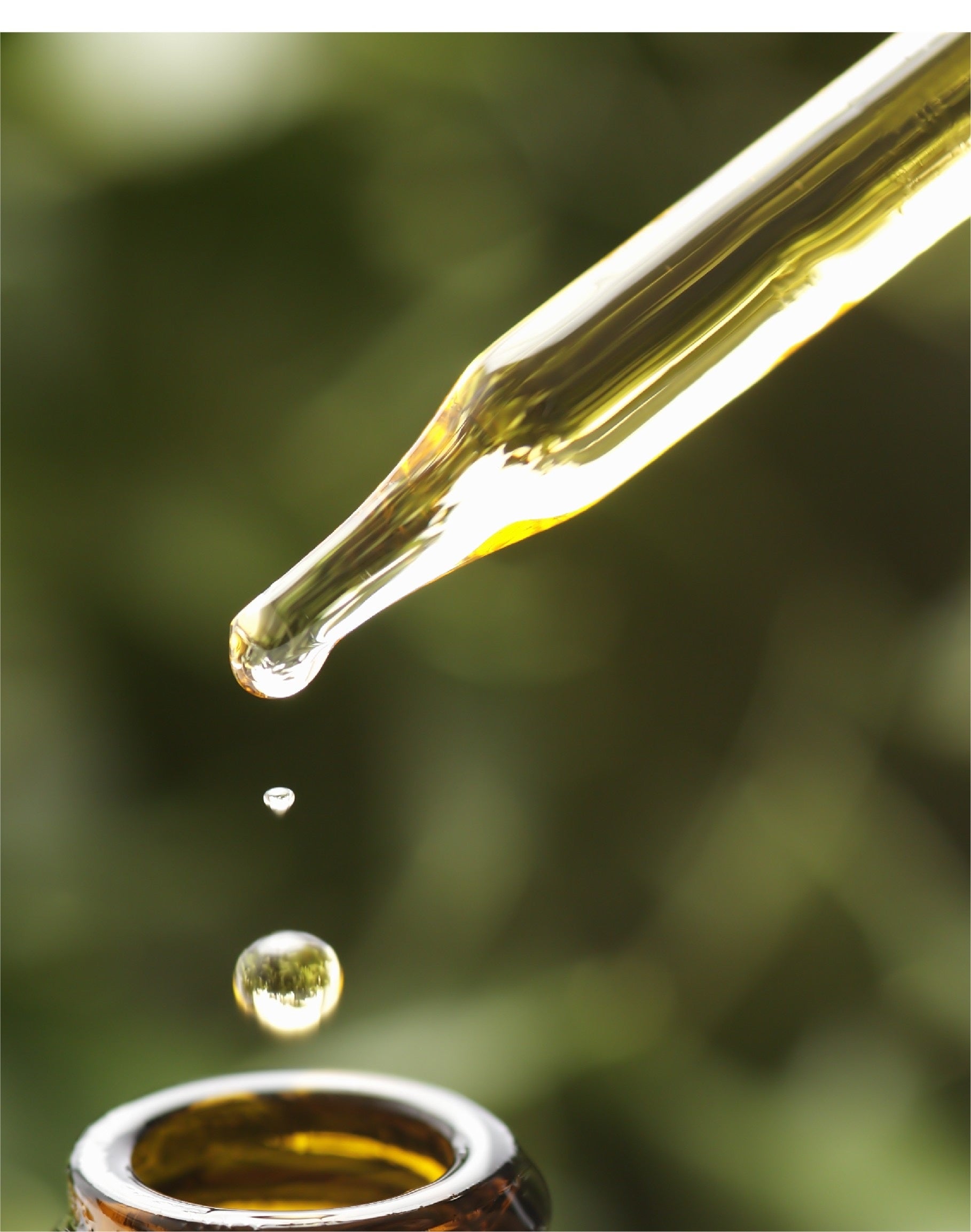 「h’（アッシュ）シリーズ　イメージ