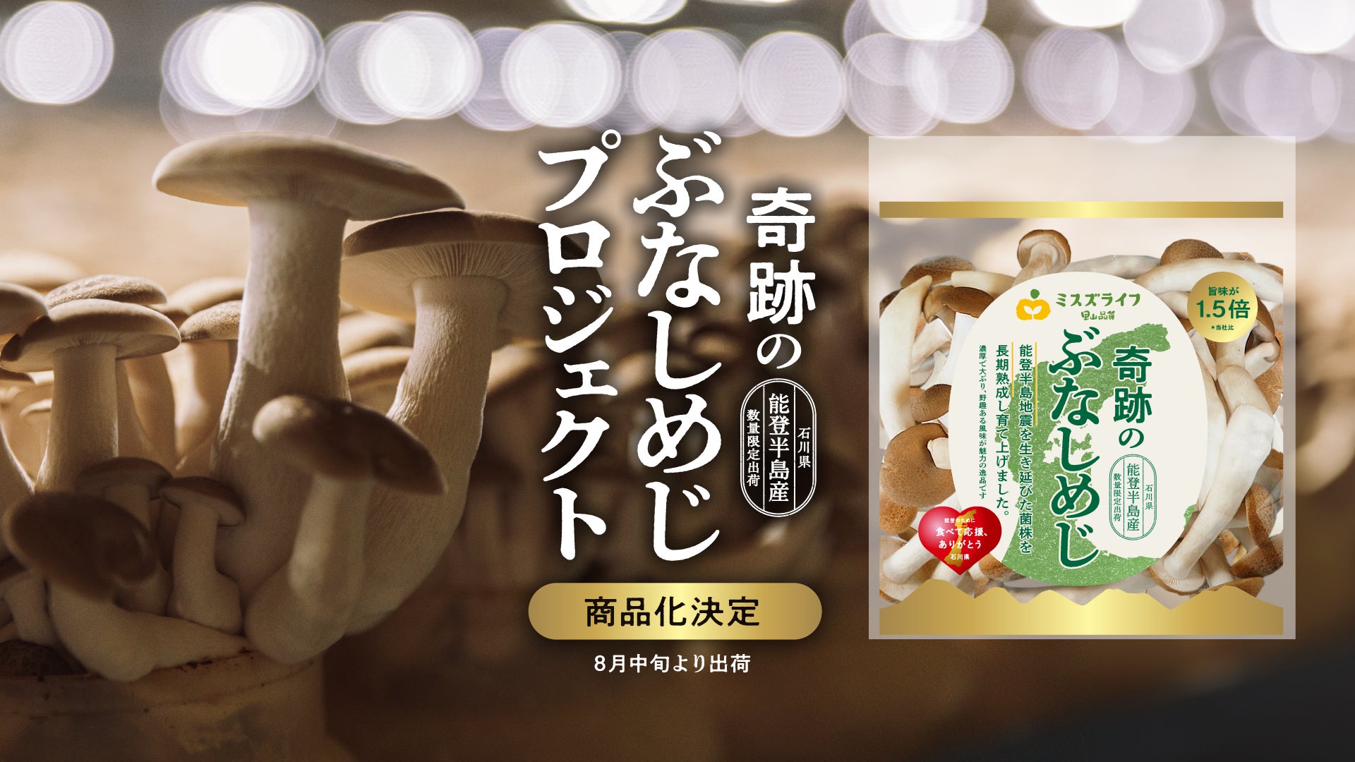 能登半島地震を生き延び、能登工場で育ったぶなしめじ『奇跡のぶな 能登半島地震を生き延び、能登工場で育ったぶなしめじ『奇跡のぶな