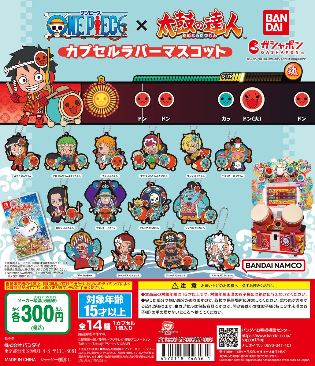 活動歴および当時の関連ビジュアル記録