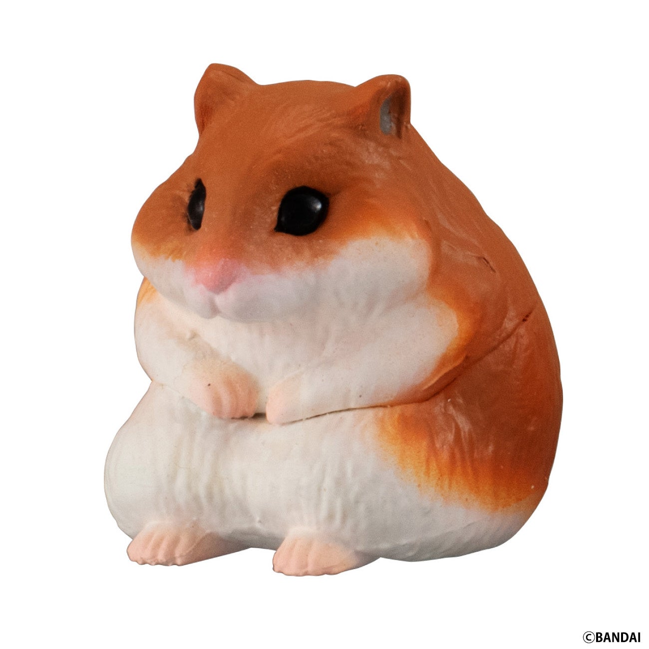 ゴールデンハムスター